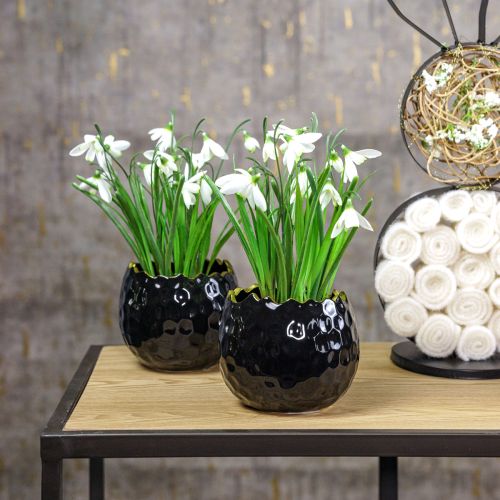 Floristik24 Maceta de cerámica para plantas de huevo negro Ø10cm H8cm 2 piezas