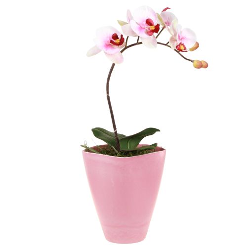 Artículo Maceta florero de plástico maceta para orquídeas rosa Al. 16,5 cm 4 piezas