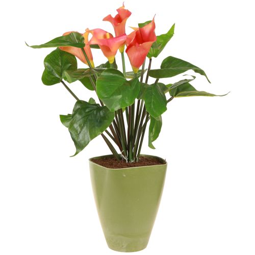 Artículo Macetero para orquídeas florero de plástico verde Al. 16,5 cm 4 piezas
