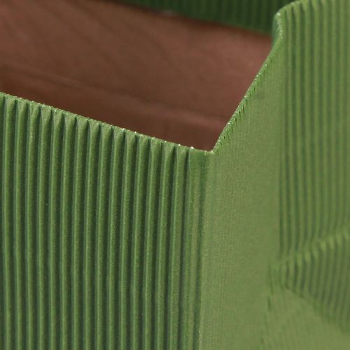 Floristik24 Macetero papel acanalado verde oliva 12cm 6uds