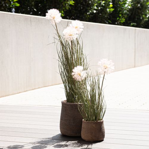 Floristik24 Macetero boho macetero aspecto trenzado de cerámica Ø9cm H10.5cm 2pcs