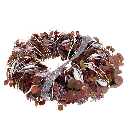 Artículo Brachyciton mora helada 500g