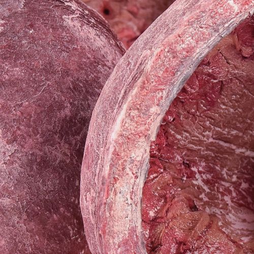 Artículo Nuez de Buda Rojo Blanco Seco Natural Decoración Ø5,5–9,5cm 5 uds