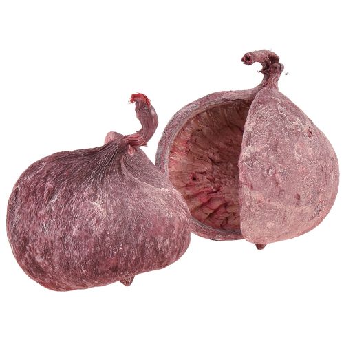 Artículo Nuez de Buda Rojo Blanco Seco Natural Decoración Ø5,5–9,5cm 5 uds