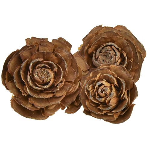 Floristik24 Conos de cedro cortados en forma de rosa cedro rosa 4-6cm natural 50 piezas