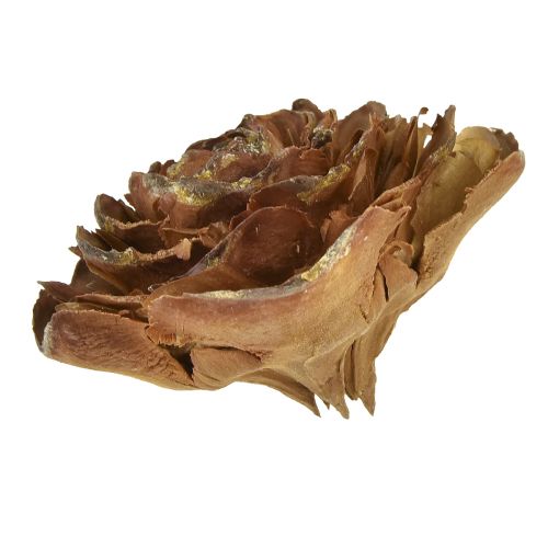 Floristik24 Conos de cedro cortados en forma de rosa cedro rosa 4-6cm natural 50 piezas