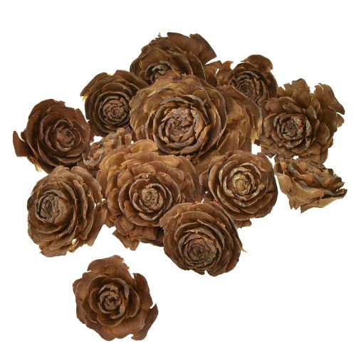 Artículo Conos de cedro cortados en forma de rosa cedro rosa 4-6cm natural 50 piezas
