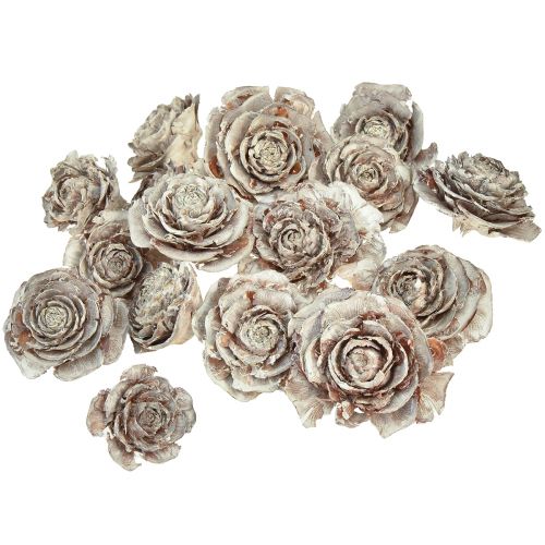 Artículo Conos de cedro cortados como rosa cedro rosa 4-6cm blanco/natural 50 piezas
