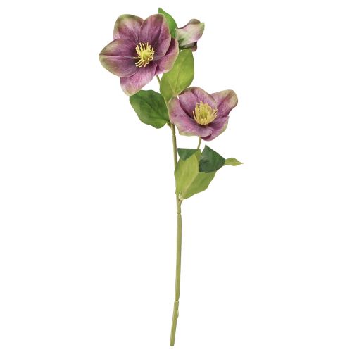 Artículo Rosas de Navidad Rosa de nieve artificial Flor morada L35cm 6 piezas