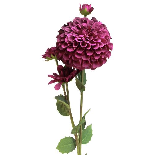Artículo Flores artificiales de dalia con flores moradas Ø10cm L80cm 2ud
