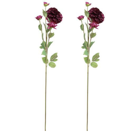 Artículo Flores artificiales de dalia con flores moradas Ø10cm L80cm 2ud