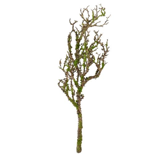 Artículo Rama decorativa con musgo artificial decoración otoñal gris verde L78cm