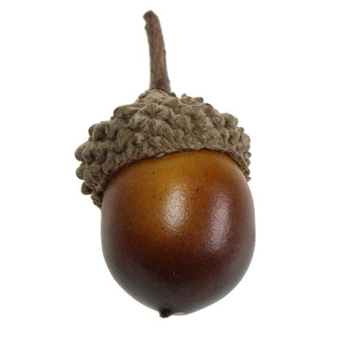 Floristik24 Bellotas decorativas 3cm 36pcs