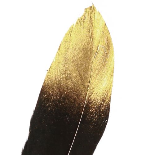 Artículo Plumas decorativas plumas de ganso reales de oro negro 15-20cm 50uds