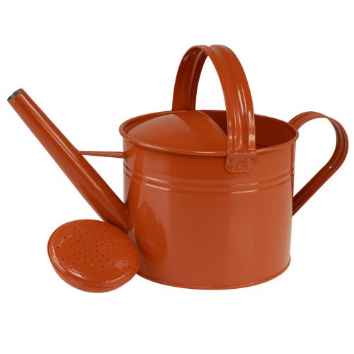 Regadera decorativa de metal estilo rústico, color marrón anaranjado, 26 cm, 5 L - Uso versátil como maceta y elemento decorativo. | Floristik24.es