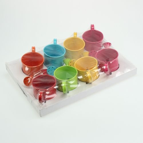 Floristik24 Regadera Ø11cm H9cm 8pcs. colores surtidos