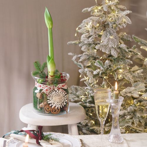 Jarrón de cristal decorativo farol de cristal transparente Ø18cm H20cm