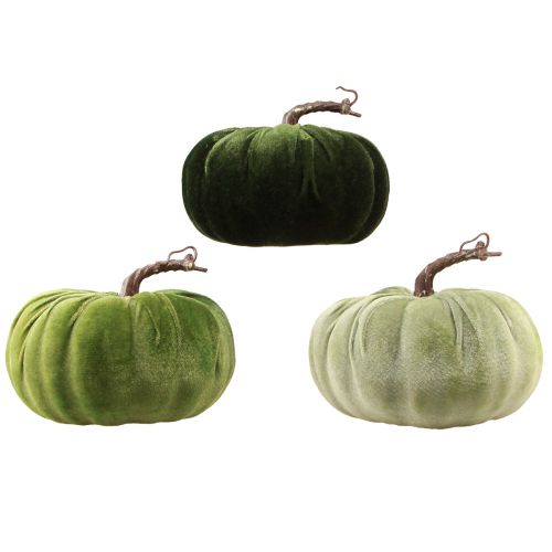 Artículo Deco calabaza otoño verde verde oscuro verde claro Ø18cm 3 piezas