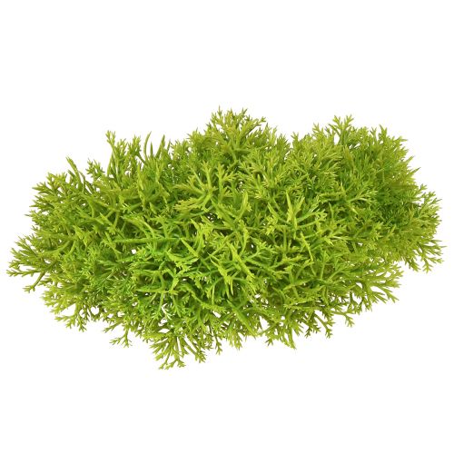 Floristik24 Musgo decorativo verde artificial – cojín de musgo 10/12/14cm 3 piezas