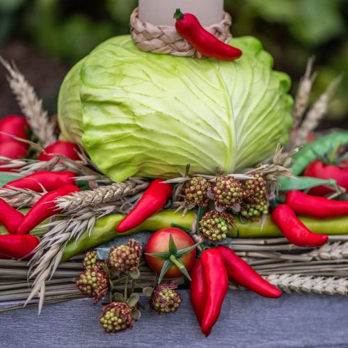 Artículo Espárragos Decorativos Verdes Vegetales Artificiales L22cm Ø1,5cm 3uds