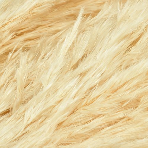 Artículo Hierba de la pampa decorativa crema hierba seca blanqueada 95cm 3 piezas