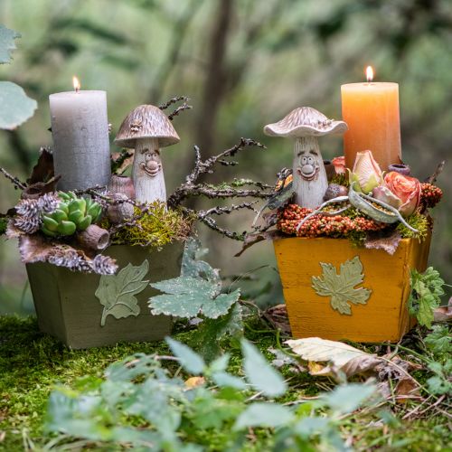 Floristik24 Setas decorativas decoración otoñal setas divertidas Ø7/9cm H13cm 2ud