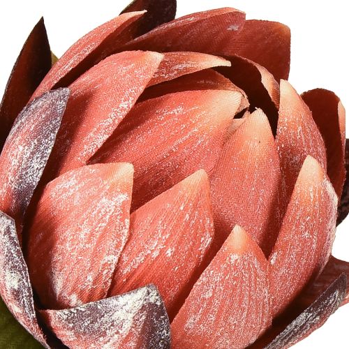 Artículo Flores artificiales decorativas Protea rojo-naranja 34cm 3 piezas