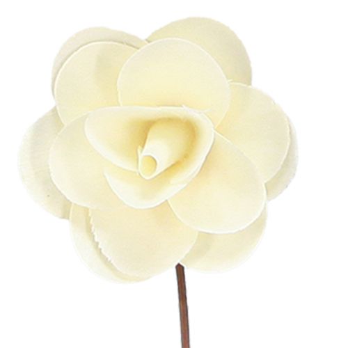 Floristik24 Rosas decorativas crema rosas artificiales de madera Ø7cm 12 piezas