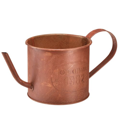 Floristik24 Jardinera decorativa con regadera oxidada de metal Ø12,5cm H10,5cm