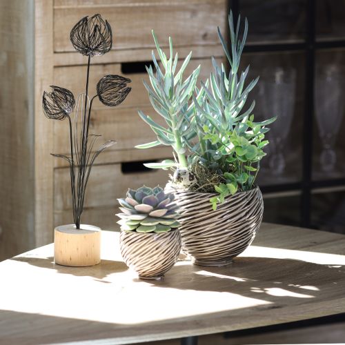 Artículo Cuenco Decorativo Maceta Cerámica Beige Marrón Ø15cm 2uds