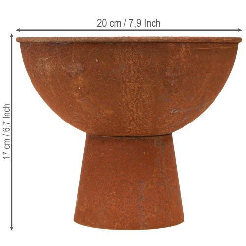 Artículo Bol decorativo con pie, tipo copa, metal color óxido, Ø20,5 cm, 2 piezas