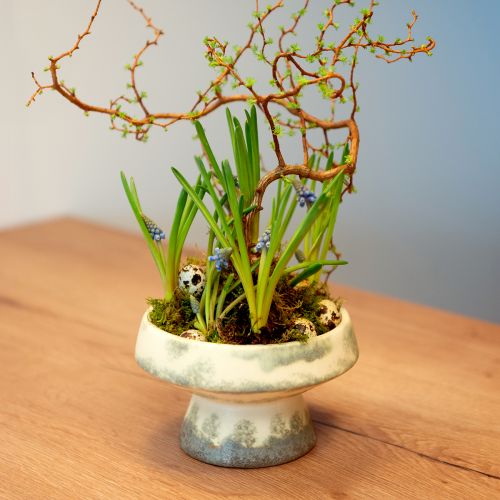 Artículo Cuenco decorativo cerámica con base crema gris verde Ø17cm 10cm