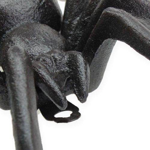 Floristik24 Araña Marrón Oscuro 13.5cm