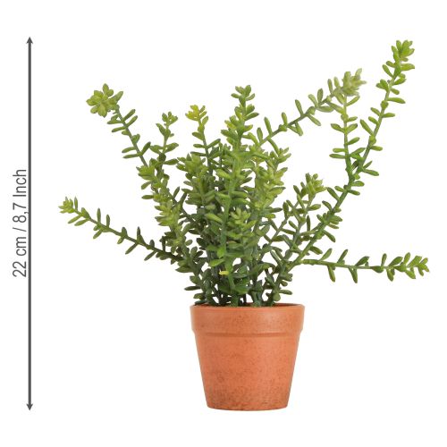 Artículo Tomillo decorativo en maceta Hierbas artificiales Decoración de cocina 25cm
