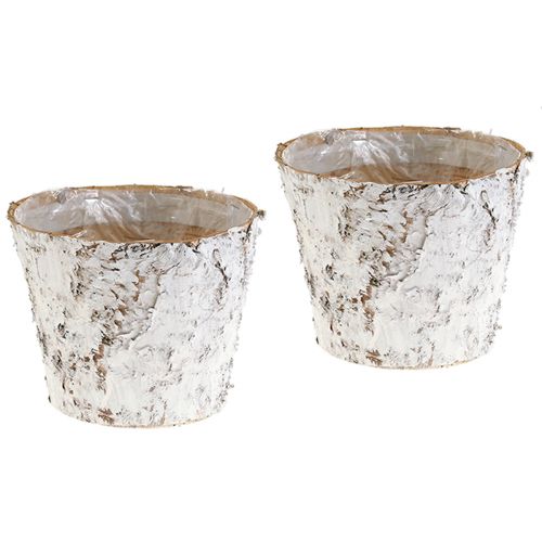 Artículo Macetero decorativo macetero de abedul blanqueado Ø18cm H15cm 2ud