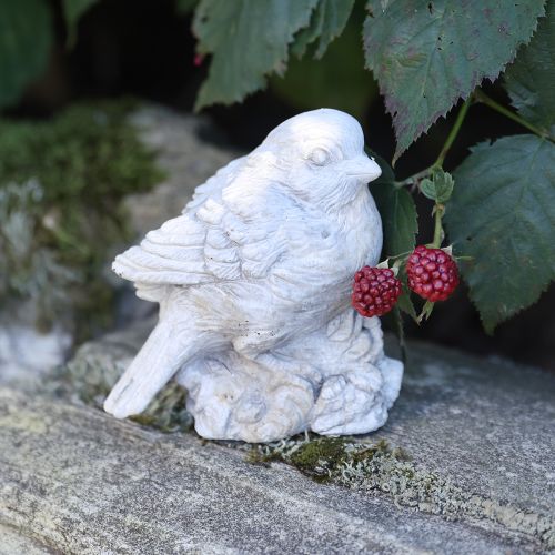 Artículo Figura decorativa de pájaro gorrión de piedra fundida blanca lavada H12,5cm
