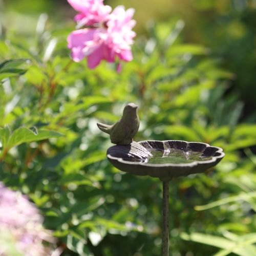 Artículo Baño para pájaros decorativo de metal verde antiguo Ø16,5cm H34,5cm