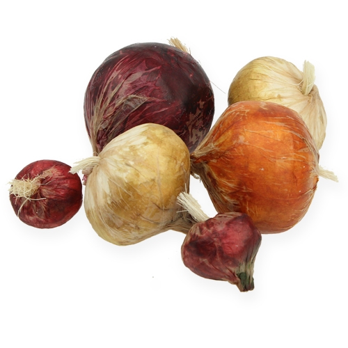 Floristik24 Cebolla grande y pequeña artificialmente 14St.