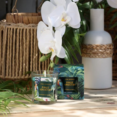 Floristik24 Vela perfumada en recipiente de cristal Vela Pepino-Eucalipto Verde Ø7cm