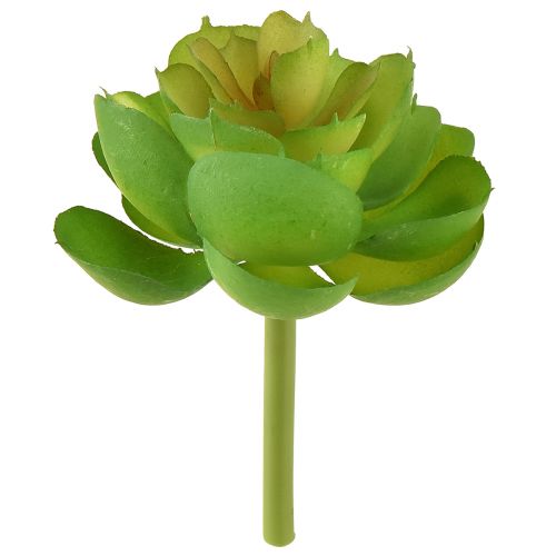 Floristik24 Suculentas artificiales Echeveria verde Ø7cm 6 uds