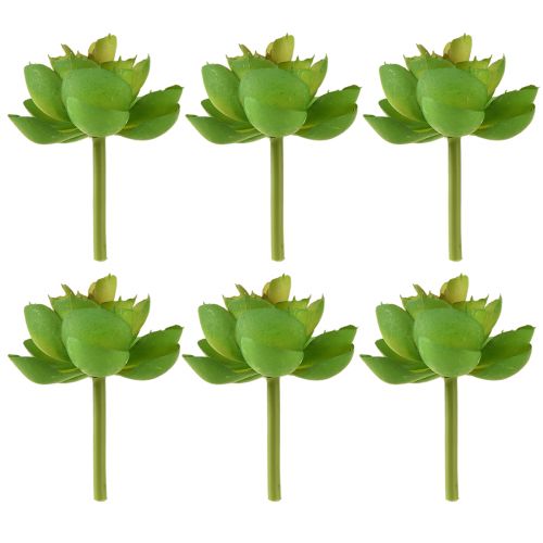 Artículo Suculentas artificiales Echeveria verde Ø7cm 6 uds