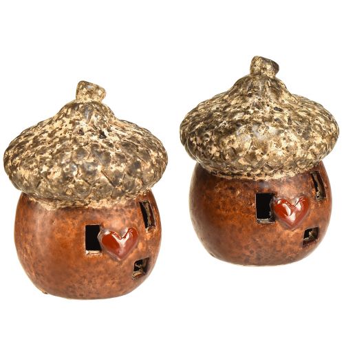 Floristik24 Bellota con decoración de ventana y corazón 9,8 cm - decoración atmosférica de otoño e invierno - 4 piezas