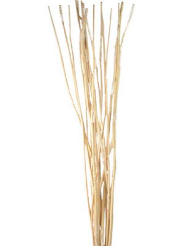 Floristik24 Deco Sticks, Elephant Reed blanqueado 20uds