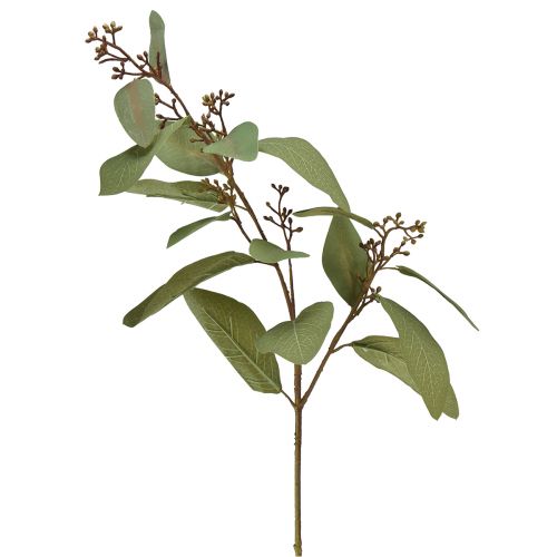 Artículo Rama de eucalipto rama decorativa artificial rama artificial verde 60cm