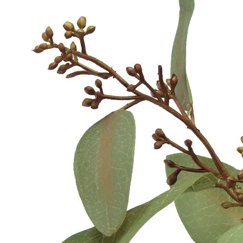 Artículo Rama de eucalipto rama decorativa artificial rama artificial verde 60cm