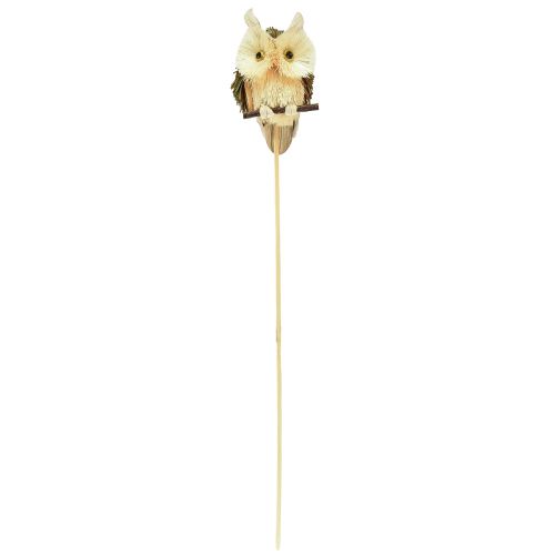 Artículo Tapones de flores decorativos búho decoración de otoño natural Ø4cm H8cm 4ud