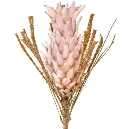 Floristik24 Flor artificial exótica rosa flor de piña grande 74cm