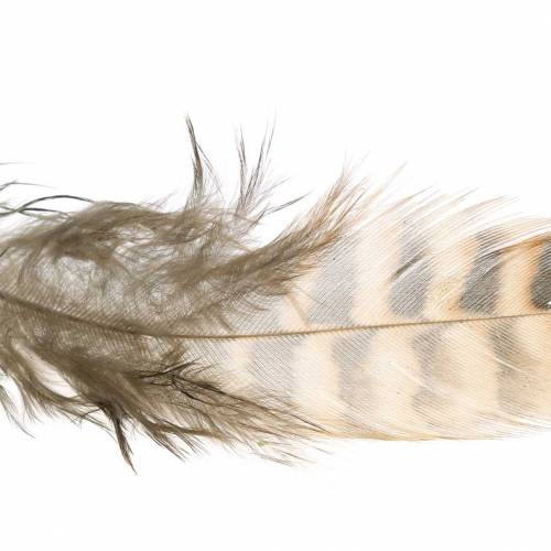 Floristik24 Plumas naturales 4,5 - 9cm 20g