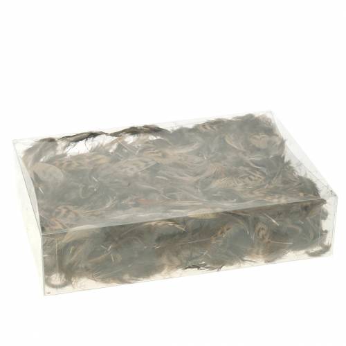 Floristik24 Plumas naturales 4,5 - 9cm 20g