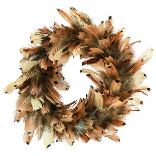Corona de plumas plumas reales corona de plumas de faisán marrón Ø24cm